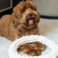 Quapas! Dog Toy Rope L Round