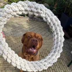 Quapas! Dog Toy Rope L Round
