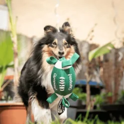 Quapas! Dog Toy Sport rugby ball L
