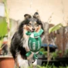 Quapas! Dog Toy Sport rugby ball S