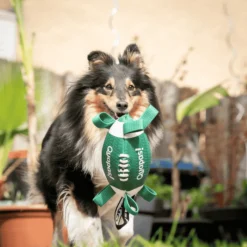 Quapas! Dog Toy Sport rugby ball S