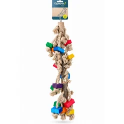 Quapas! Fun String