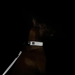 Quapas! Halsband Ultra Comfort Reflective