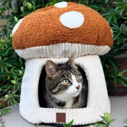 Quapas! Kattenbed Paddenstoel