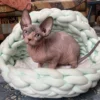 Quapas! Kattenmand Iglo Mint