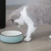 Quapas! Keramieken Eet- en Drinkbak Mintgroen