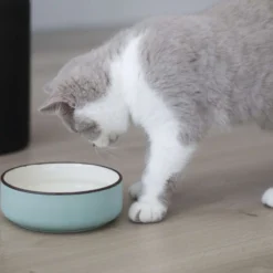 Quapas! Keramieken Eet- en Drinkbak Mintgroen
