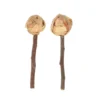Quapas! Lollipop