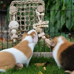 Quapas! Nibble wall S
