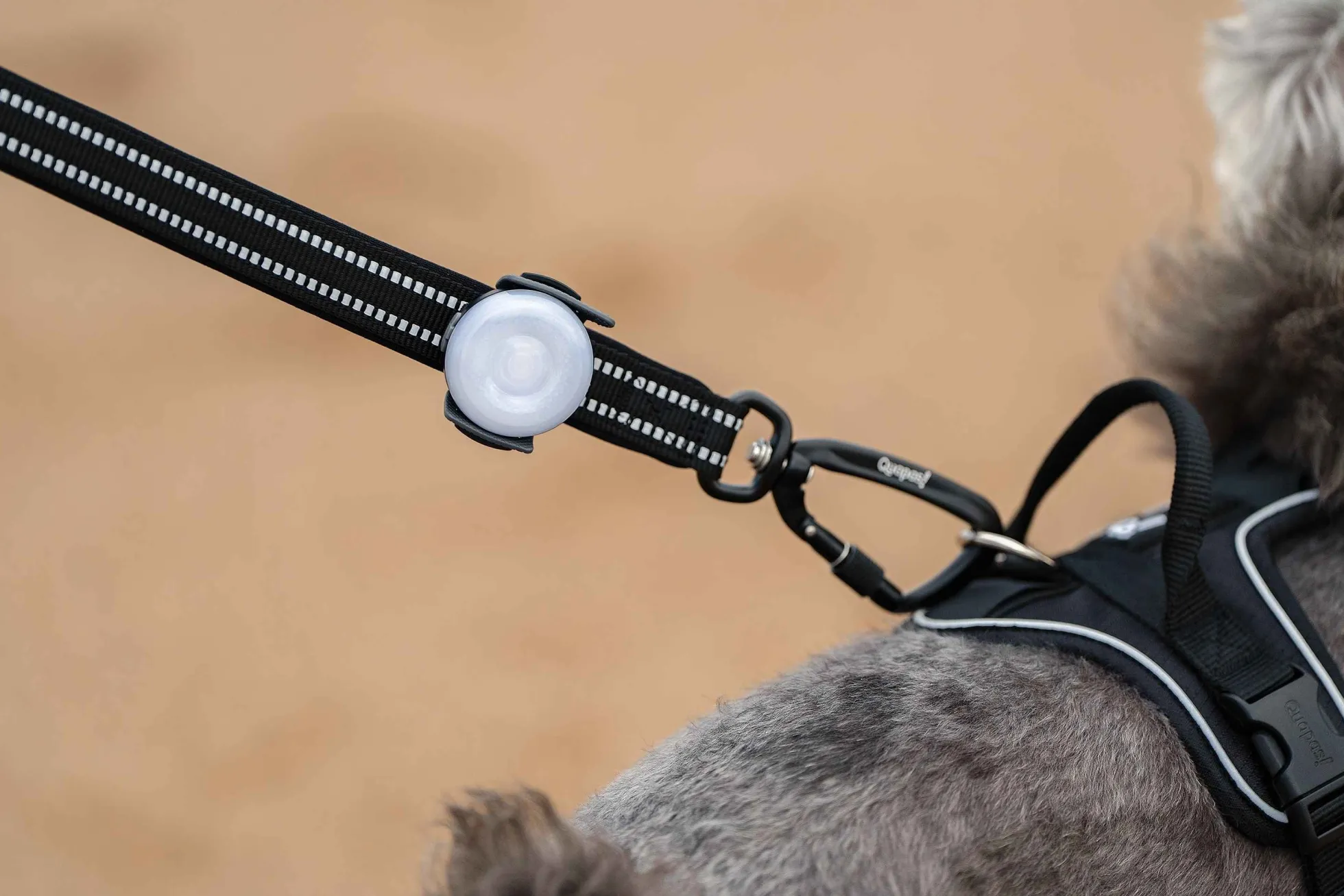 Quapas! Oplaadbare LED Zwart