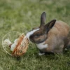 Quapas! Rodent Basket