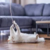 Quapas! Speelhengel Vogel
