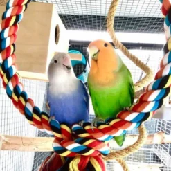 Quapas! Spiraal Swing M Speelring Touw