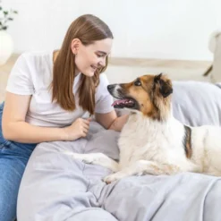 Quapas! Super Snuggler Hondenkussen XXL