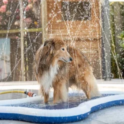 QUAPAS! the original Watermat