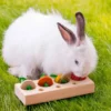 Quapas! Veggie Snackpuzzel