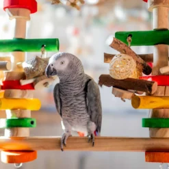 Quapas! Vogelspeelgoed Fun Swing Large