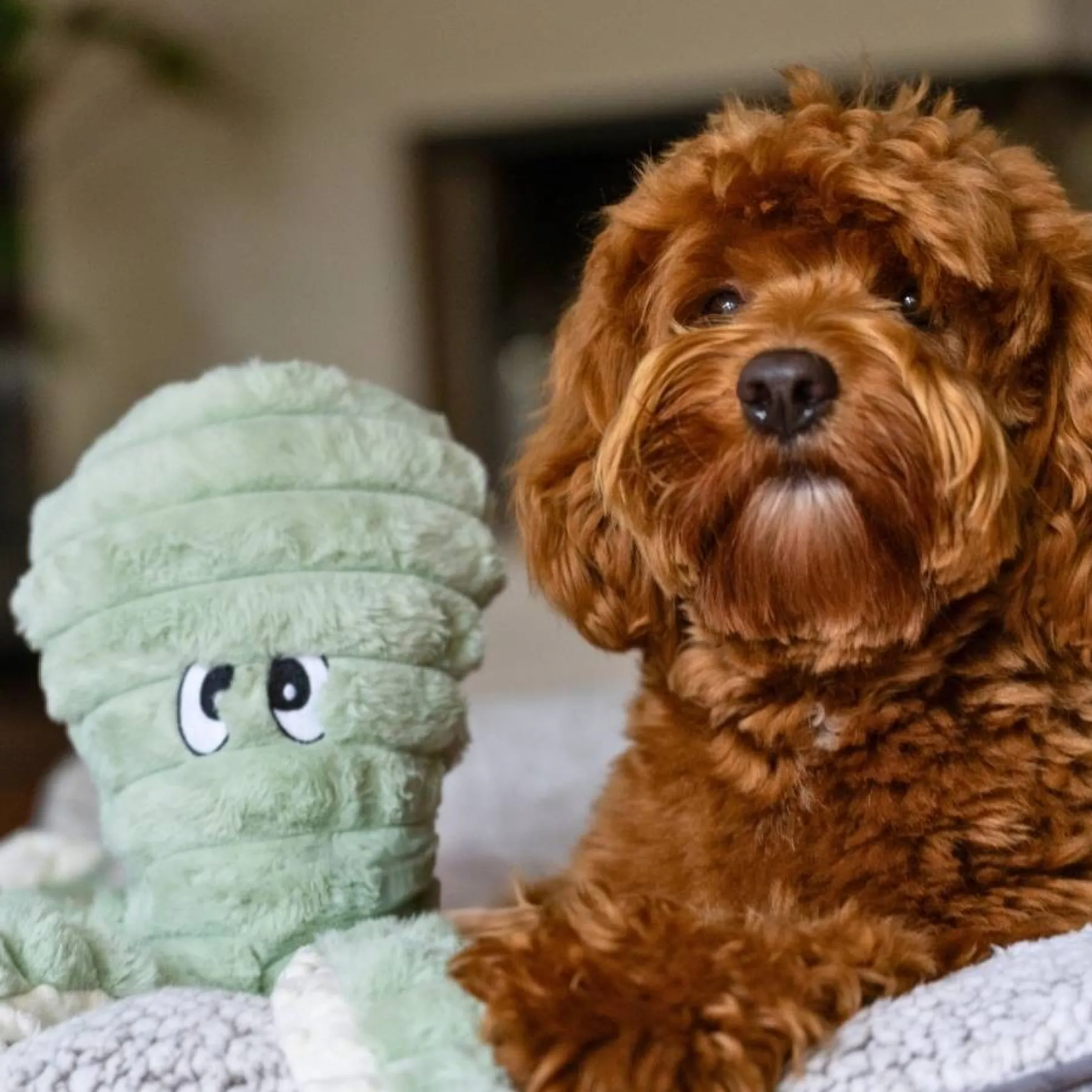 Quapas! XXL Hondenknuffel Octopus Groen