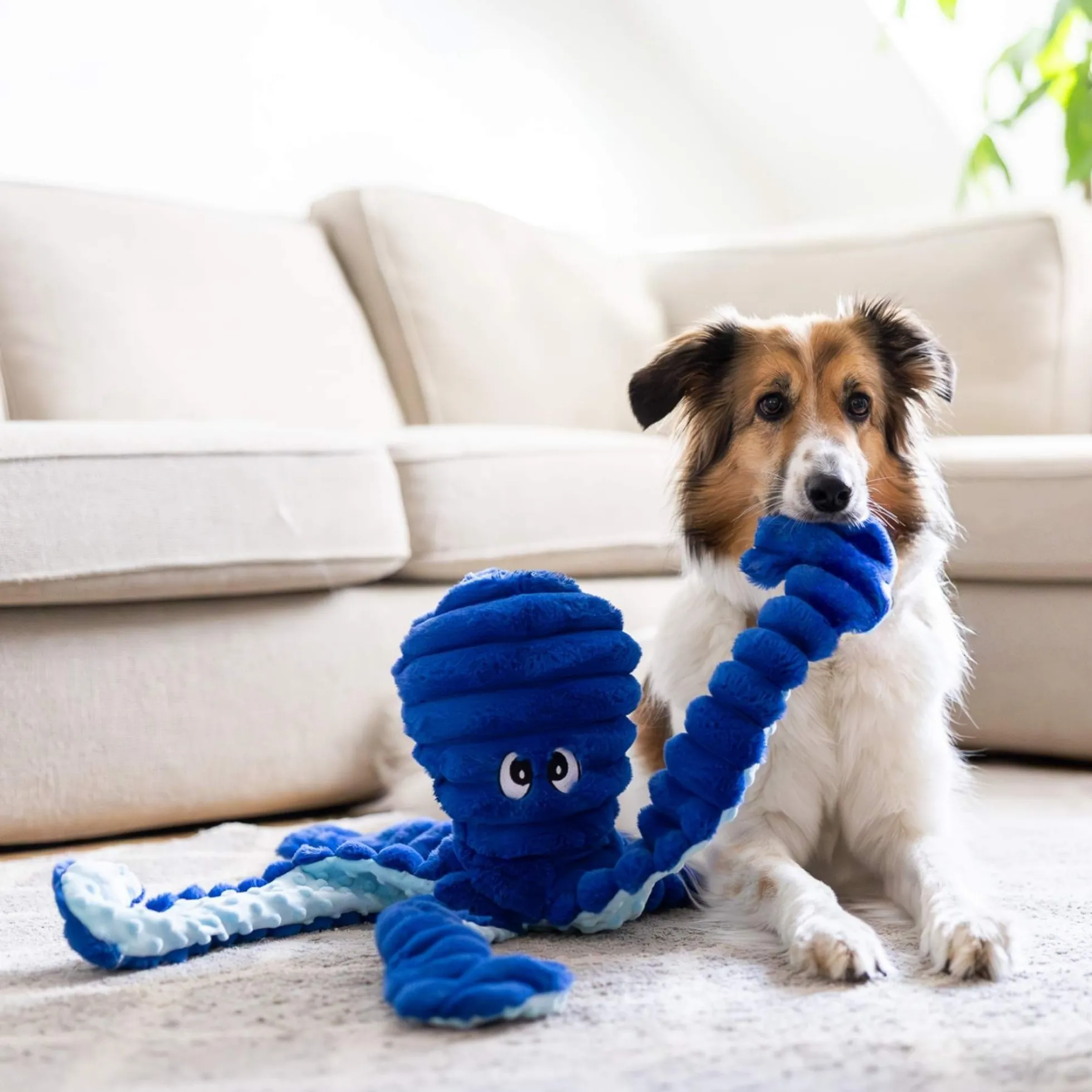 Quapas! XXL Hondenknuffel Octopus Blauw
