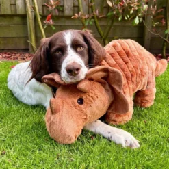 Quapas! XXL Hondenknuffel Triceratops