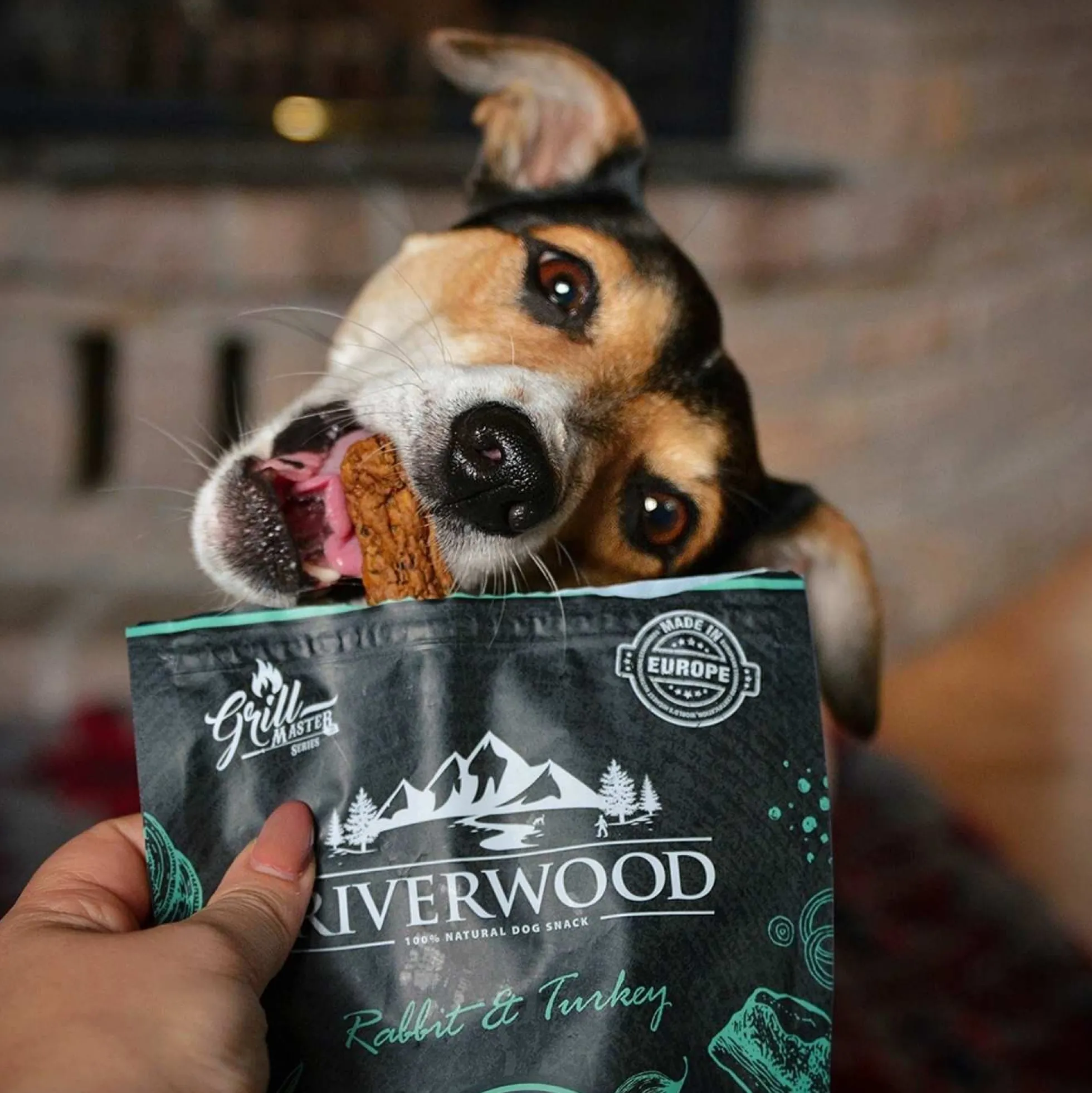 Riverwood Hondensnack Grillmaster Konijn & Kalkoen