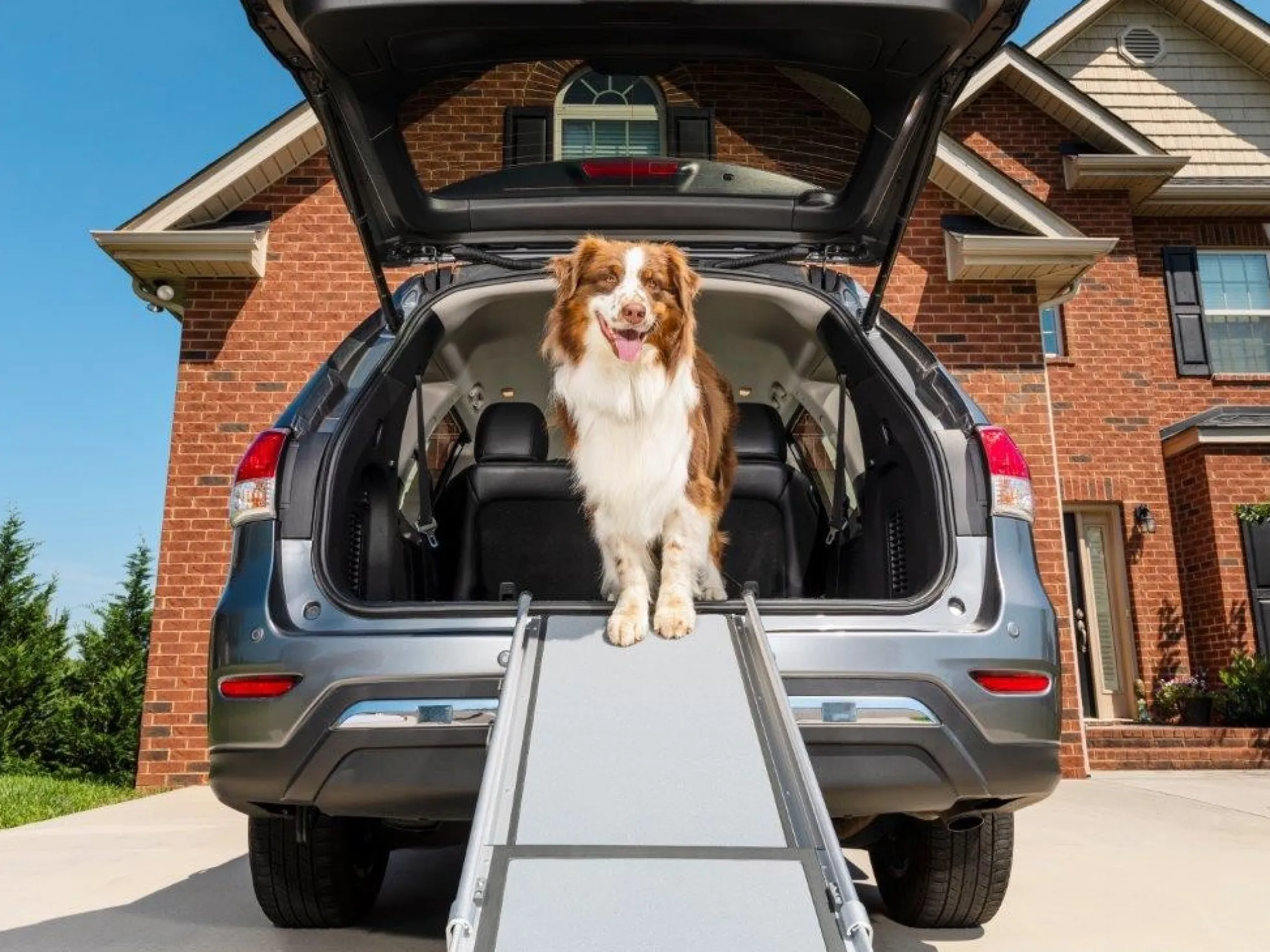 Telescoping dog ramp