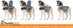 Thundershirt
