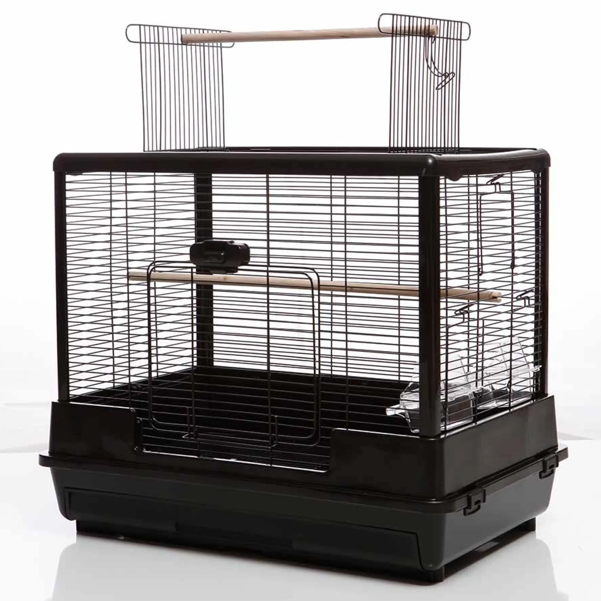 Vogelkooi Ceasar M Zwart